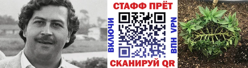 Какие есть наркотики Карпинск Гашиш Конопля A-PVP Меф мяу мяу Кокаин