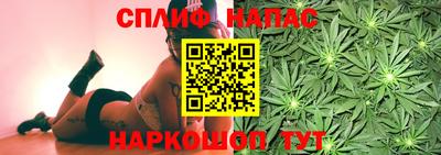 прущие грибы Краснокаменск