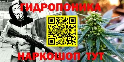 прущие грибы Краснокаменск