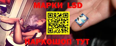 прущие грибы Краснокаменск