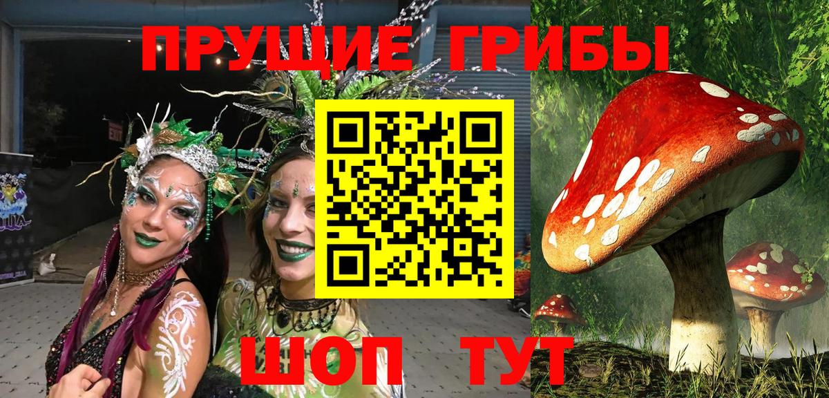 Псилоцибиновые грибы Psilocybe Карпинск